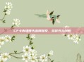CF卡市场领先品牌探索，多样性与创新