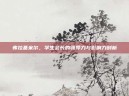 弗拉基米尔，学生会长的领导力与影响力剖析