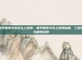 和平精英小鸟怎么上房顶，和平精英小鸟上房顶秘籍，三步成为屋顶战神