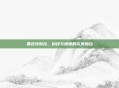 黑色特斯拉，科技与速度的完美融合