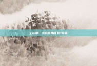 yy战机，虚拟世界的飞行奇旅