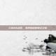COD16战区，佛丹斯科的奇幻之旅
