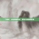 三国杀，裘球策略对决，智慧与谋略的较量