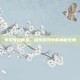 赛尔号贪食龙，探索游戏中的神秘生物