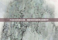 PUBG选手薪资之谜，揭秘电竞行业的真实薪酬水平
