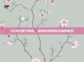 PUBG官方商店,探索游戏内容与独特优势