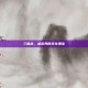 三国杀，桌游界的文化瑰宝