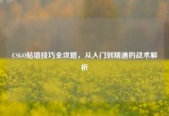 CSGO贴墙技巧全攻略，从入门到精通的战术解析