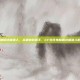 cf生化电脑版终极猎人，从猎物到猎手，CF生化电脑版终极猎人的荣耀之路