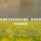 王者荣耀排位举报机制全指南，高效维权与误封恢复攻略