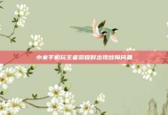 小米手机玩王者荣耀时出现故障问题