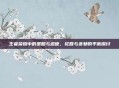 王者荣耀中的策略与道德，轮回与贪婪的平衡探讨