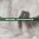 探索心灵深处，元神玲珑钥匙的神秘力量