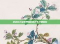 逆战游戏加载界面边框消失问题解析