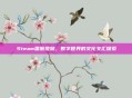 Steam国服视频，数字世界的文化交汇探索