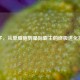 孢子，从单细胞到星际霸主的终极进化指南
