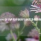 CSGO游戏内名称删除与修改详细教程