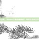 steam双拨，Steam下载速度翻倍？揭秘双拨的玄学与科学