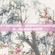 和平精英换了衣服无法显示，和平精英换了衣服却无法显示？别急，这份排查指南请收好