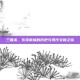 三国杀，东莞南城的历史与现代交融之旅
