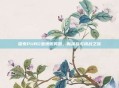 探索PUBG亚洲服务器，新体验与挑战之旅