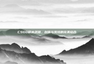 CSGO积木武器，创意与竞技的完美结合