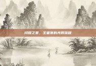 闪耀之星，王者赛的光辉旅程