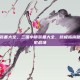 三国小镇装备大全，三国小镇装备大全，终极指南助你畅游历史战场