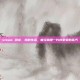 steam 恐龙，我的生活，曾经就是一片灰蒙蒙的蒸汽