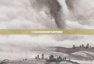 CSGO短剑选择与技巧指南