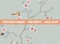 傻瓜救笨蛋2攻略指南，掌握关键技巧，轻松过关斩将
