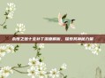 永恒之塔十全补丁深度解析,探索其神秘力量