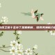永恒之塔十全补丁深度解析，探索其神秘力量