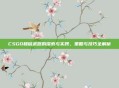 CSGO和谐武器的探索与实践,策略与技巧全解析