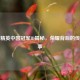 和平精英中国冠军ID揭秘，荣耀背后的传奇故事