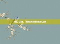 死亡之塔，层层揭秘的神秘之旅