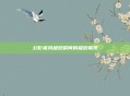 幻影疾风极致瞬间的极致展现