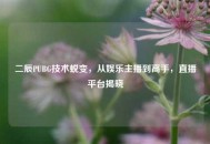 二辰PUBG技术蜕变，从娱乐主播到高手，直播平台揭晓
