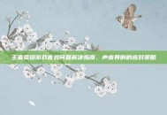 王者荣耀游戏音效问题解决指南，声音异响的应对策略
