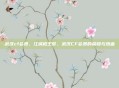 武汉cf会员，江城枪王梦，武汉CF会员的荣耀与热血