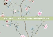武汉cf会员，江城枪王梦，武汉CF会员的荣耀与热血