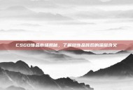 CSGO饰品市场揭秘，了解放饰品背后的深层含义
