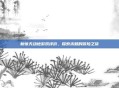 新惊天动地游戏评价，探索未知的冒险之旅