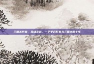 三国杀阿曼，杀场之外，一个平凡玩家与三国杀的十年
