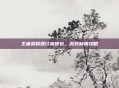 王者荣耀退订加速包,高效利用攻略
