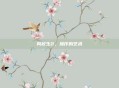 同校生2，操作的艺术