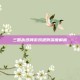 三国杀纸牌游戏规则深度解析
