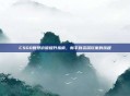 CSGO账号价值提升指南，新手到资深玩家的旅程