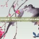 CSGO竞技，团队协作与个人技巧的完美融合