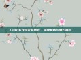 COD16双持左轮皮肤，深度解析与魅力展示